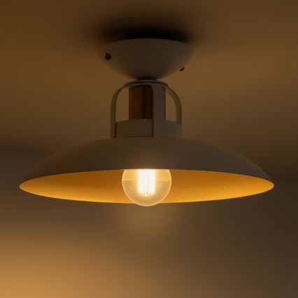 Brilagi - LED Kiinteä kattokruunu FLAMENGO 1xE27/60W/230V valkoinen