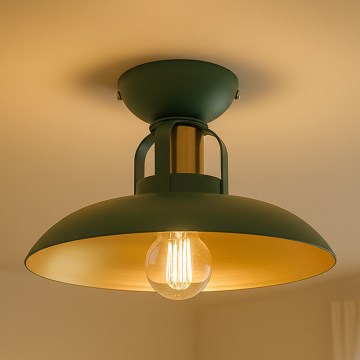 Brilagi - LED Kiinteä kattokruunu FLAMENGO 1xE27/60W/230V vihreä