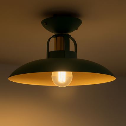 Brilagi - LED Kiinteä kattokruunu FLAMENGO 1xE27/60W/230V vihreä