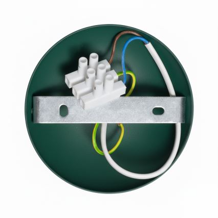 Brilagi - LED Kiinteä kattokruunu FLAMENGO 1xE27/60W/230V vihreä