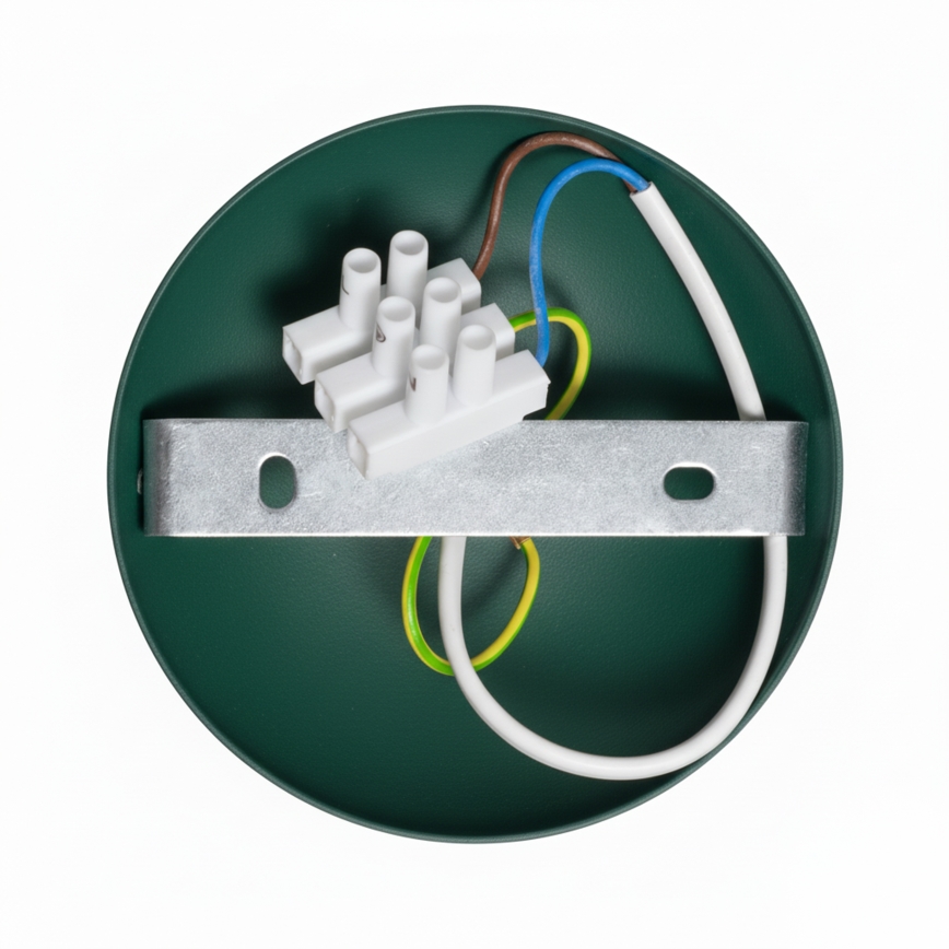 Brilagi - LED Kiinteä kattokruunu FLAMENGO 1xE27/60W/230V vihreä