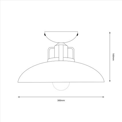 Brilagi - LED Kiinteä kattokruunu FLAMENGO 1xE27/60W/230V vihreä