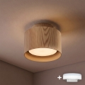 BRILAGI - LED-kohdevalaisin BACKLIT 1xGX53/15W/230V + LED/3W halkaisija 10 cm tammi-dekori
