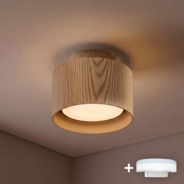 BRILAGI - LED-kohdevalaisin BACKLIT 1xGX53/15W/230V + LED/3W halkaisija 10 cm tammi-dekori