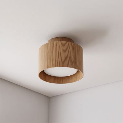BRILAGI - LED-kohdevalaisin BACKLIT 1xGX53/15W/230V + LED/3W halkaisija 10 cm tammi-dekori