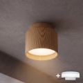 BRILAGI - LED-kohdevalaisin BACKLIT 1xGX53/15W/230V + LED/3W halkaisija 8 cm tammi-dekori