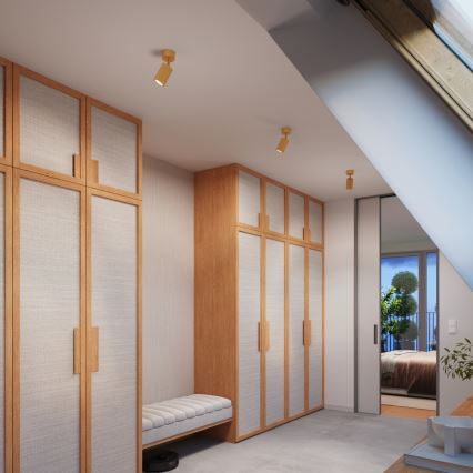 Brilagi - LED-kohdevalaisin CRESTO 1xGU10/10W/230V kultainen