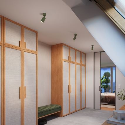 Brilagi - LED-kohdevalaisin CRESTO 1xGU10/10W/230V vihreä