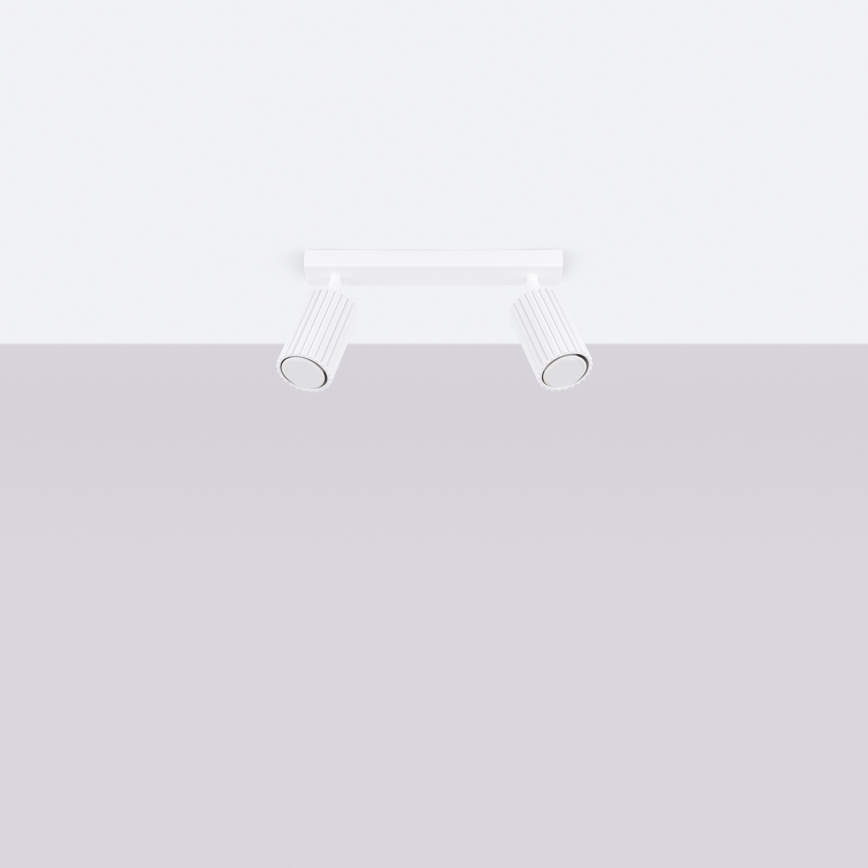 Brilagi - LED-kohdevalaisin CRESTO 2xGU10/10W/230V valkoinen