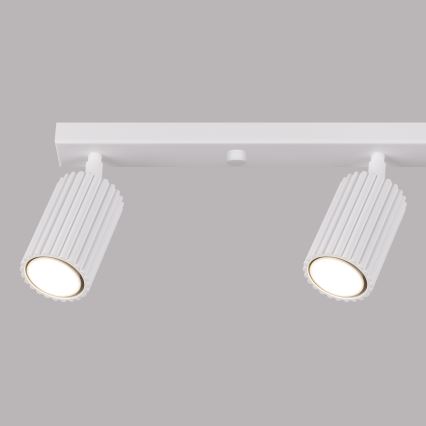 Brilagi - LED-kohdevalaisin CRESTO 4xGU10/10W/230V valkoinen
