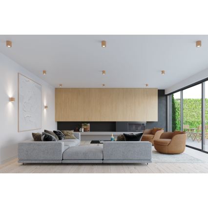 Brilagi -  LED-kohdevalaisin FRIDA 1xGU10/7W/230V