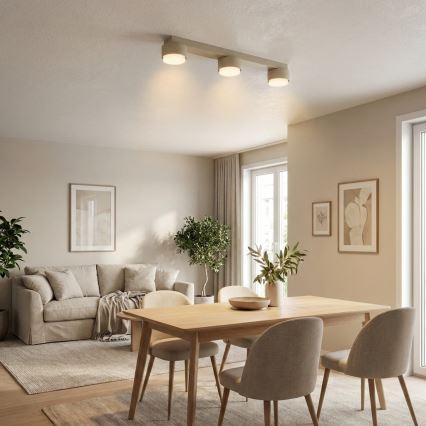 BRILAGI - LED-kohdevalaisin MONO 3xGX53/30W/230V beige