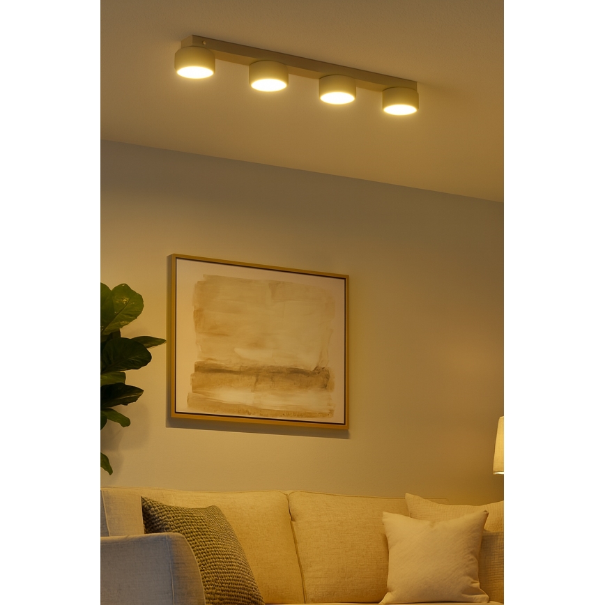 Brilagi - LED-kohdevalaisin MONO 4xGX53/12W/230V beige