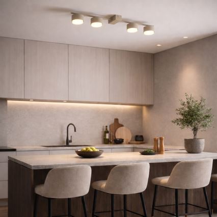 Brilagi - LED-kohdevalaisin MONO 4xGX53/13W/230V beige