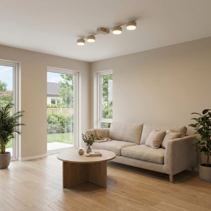 Brilagi - LED-kohdevalaisin MONO 4xGX53/13W/230V beige