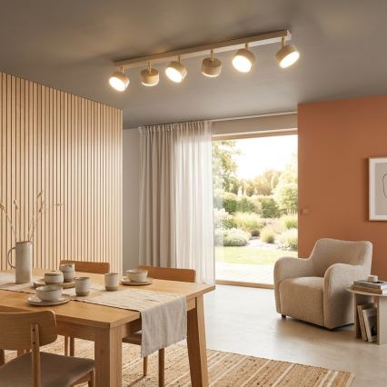 Brilagi - LED-kohdevalaisin MONO 6xGX53/30W/230V beige/kultainen