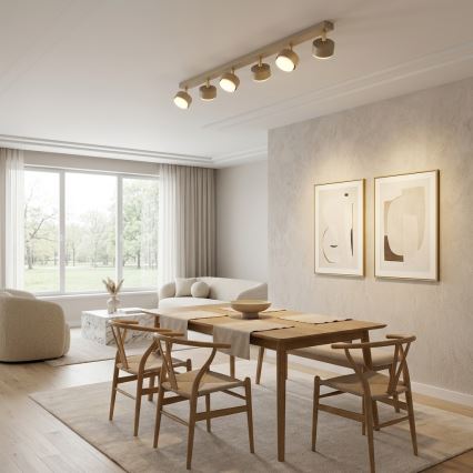 Brilagi - LED-kohdevalaisin MONO 6xGX53/30W/230V beige/kultainen