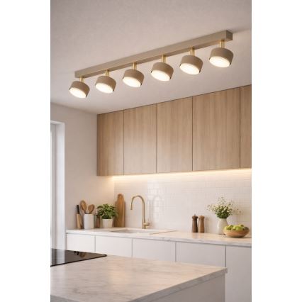 Brilagi - LED-kohdevalaisin MONO 6xGX53/30W/230V beige/kultainen