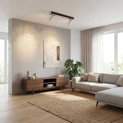 BRILAGI - LED kohdevalaisin SELE 2xGU10/30W/230V + LED/15W valkoinen/tammi-dekori
