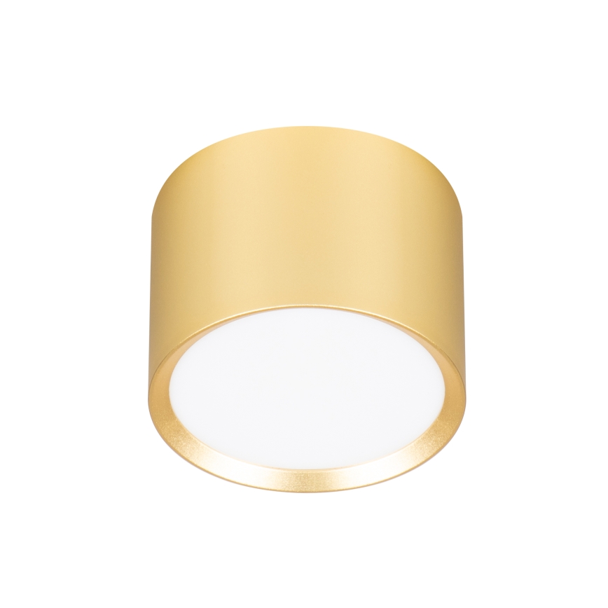 BRILAGI - LED Kohdevalaisin SMOOTH 1xGX53/15W/230V 60x82 mm kultainen