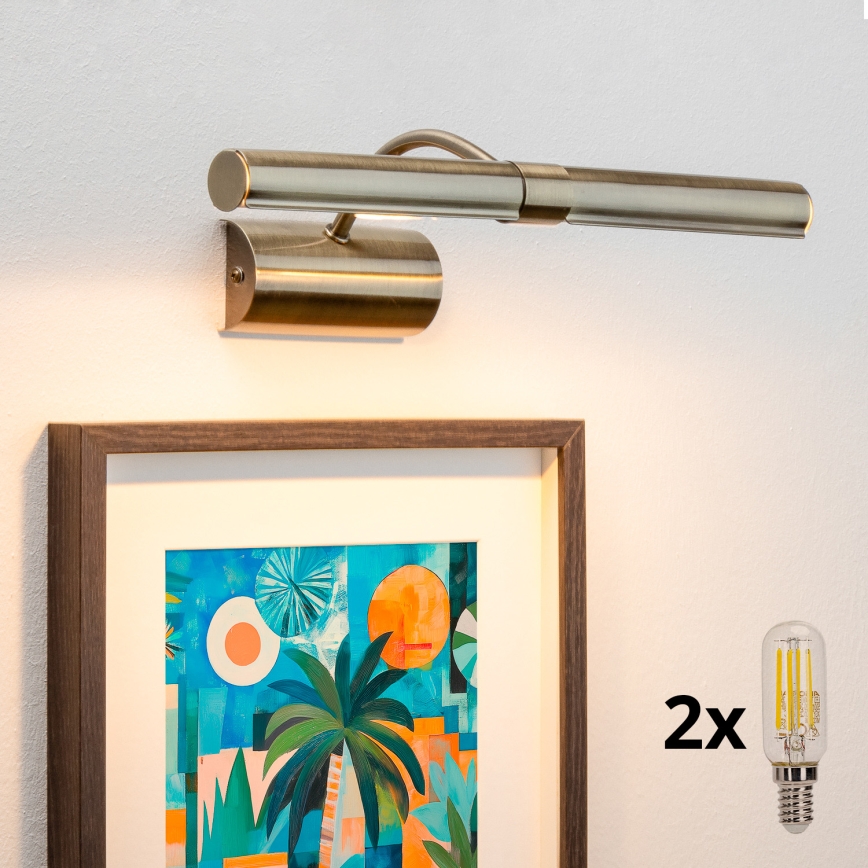 Brilagi - LED-kuvavalo DANAE 2xE14/4W/230V 3000K pronssi