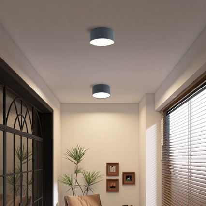 Brilagi - LED-kylpyhuoneen kattovalaisin FORIS LED/14W/230V Ø 12 cm antrasiitti IP44