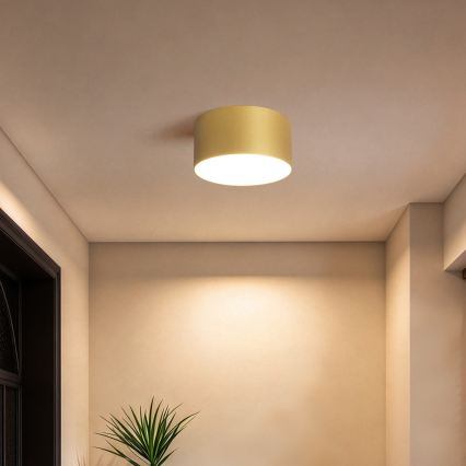 BRILAGI - LED-kylpyhuoneen kattovalaisin FORIS LED/14W/230V halkaisija 12 cm kultainen IP44