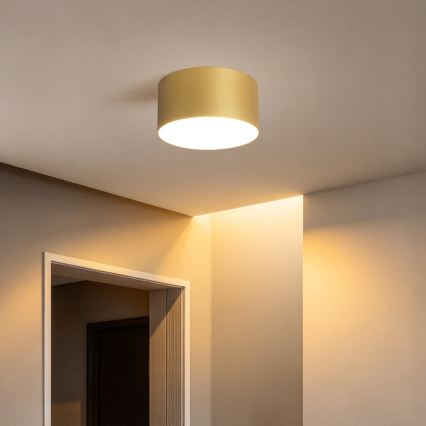 BRILAGI - LED-kylpyhuoneen kattovalaisin FORIS LED/14W/230V halkaisija 12 cm kultainen IP44