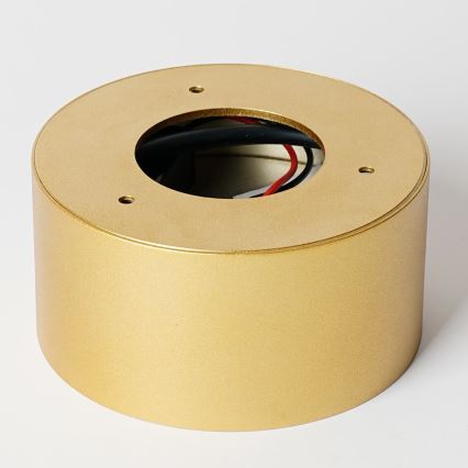 BRILAGI - LED-kylpyhuoneen kattovalaisin FORIS LED/14W/230V halkaisija 12 cm kultainen IP44