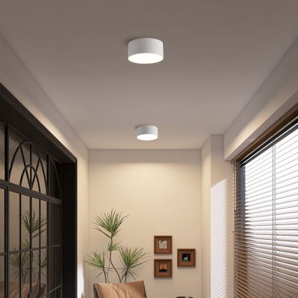 Brilagi - LED-kylpyhuoneen kattovalaisin FORIS LED/14W/230V Ø 12 cm valkoinen IP44