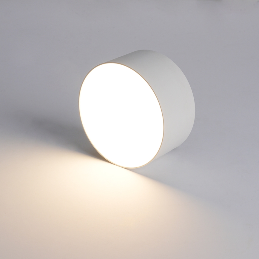 Brilagi - LED-kylpyhuoneen kattovalaisin FORIS LED/14W/230V Ø 12 cm valkoinen IP44