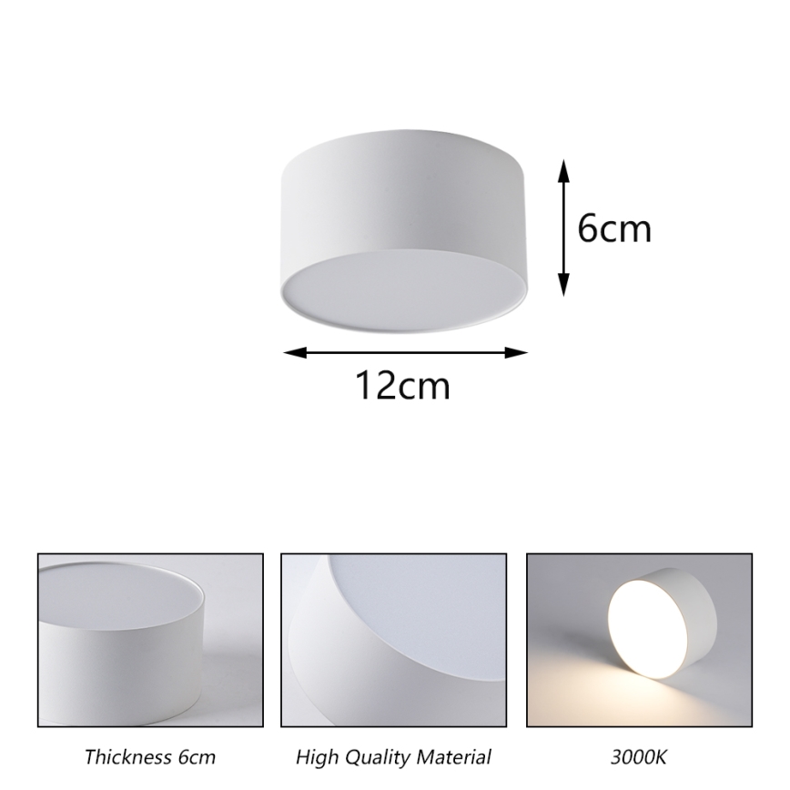 Brilagi - LED-kylpyhuoneen kattovalaisin FORIS LED/14W/230V Ø 12 cm valkoinen IP44