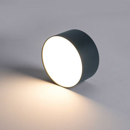 Brilagi - FORIS LED-kylpyhuoneen kattovalaisin LED/9W/230V, Ø 9 cm, antrasiitti, IP44, CRI 90