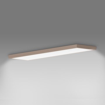 Brilagi - LED Kylpyhuoneen kattovalaisin FRAME LED/50W/230V 120x30 cm IP44 beige