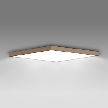 Brilagi - LED-kylpyhuoneen kattovalaisin FRAME LED/50W/230V 60x60 cm IP44 beige