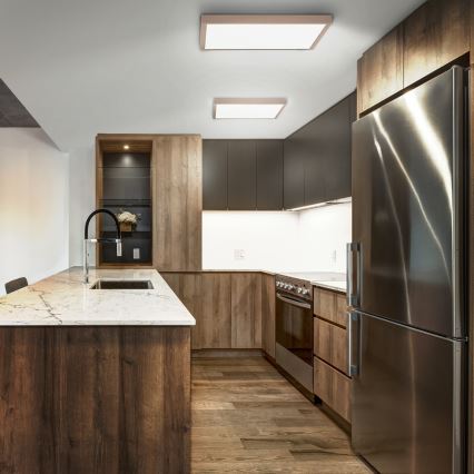 Brilagi - LED-kylpyhuoneen kattovalaisin FRAME LED/50W/230V 60x60 cm IP44 beige