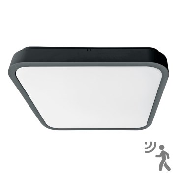Brilagi - LED-kylpyhuoneen kattovalaisin liiketunnistimella ZENNA LED/18W/230V, 28,5 x 28,5 cm, IP44, antrasiitti + kaukosäädin