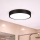 Brilagi - LED-kylpyhuoneen kattovalaisin POOL LED/24W/230V 3000/4000/5500K halkaisija 30 cm IP54 musta