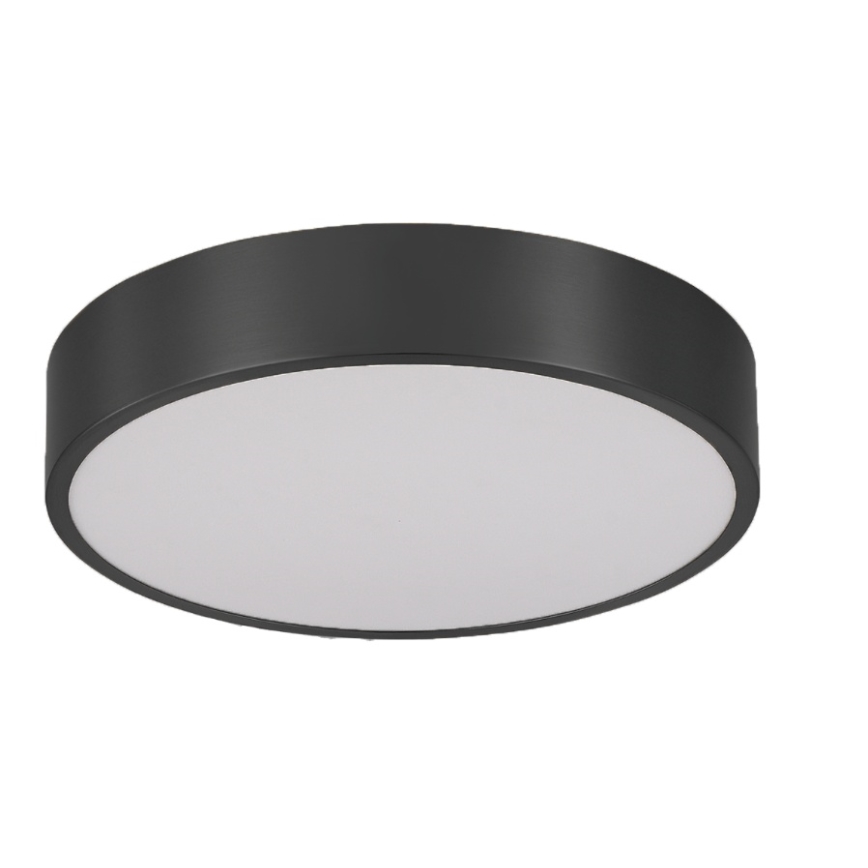 Brilagi - LED-kylpyhuoneen kattovalaisin POOL LED/24W/230V 3000/4000/5500K halkaisija 30 cm IP54 musta