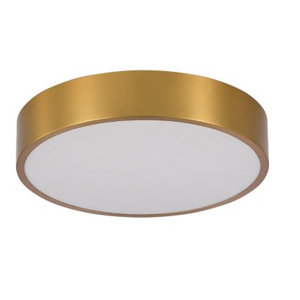 Brilagi - LED-kattovalaisin kylpyhuoneeseen POOL LED/24W/230V 3000/4000/5500K Ø 30 cm IP54 pronssi