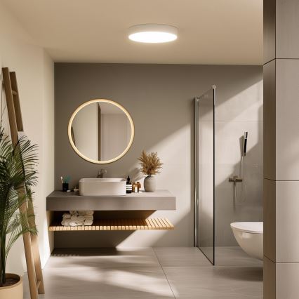 Brilagi - kylpyhuoneen LED-kattovalaisin POOL LED/36W/230V 3000/4000/5500K, halkaisija 40 cm, IP54, valkoinen
