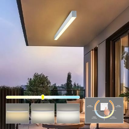 Brilagi - LED-kylpyhuoneen kattovalaisin SLEEKLINE LED/40W/230V 3000/4500/6000K hopeanvärinen IP44