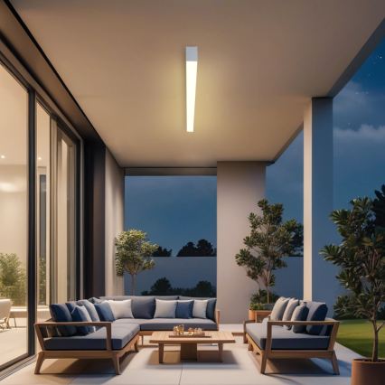 Brilagi - LED-kylpyhuoneen kattovalaisin SLEEKLINE LED/40W/230V 3000/4500/6000K hopeanvärinen IP44