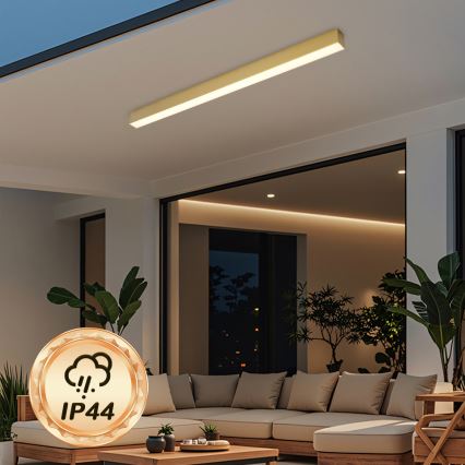 Brilagi - SLEEKLINE LED/40W/230V 3000/4500/6000K kylpyhuoneen kattovalaisin, kultainen, IP44