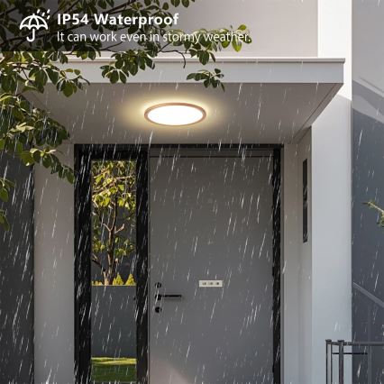 Brilagi - LED-kylpyhuoneen kattovalaisin ULTRA SLIM LED/18W/230V Ø 30 cm ruusukulta IP54