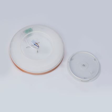 Brilagi - LED-kylpyhuoneen kattovalaisin ULTRA SLIM LED/18W/230V Ø 30 cm ruusukulta IP54