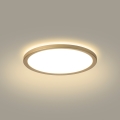 Brilagi - LED-kylpyhuoneen kattovalaisin ULTRA SLIM LED/12W/230V Ø 22,5 cm kultainen IP54