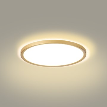 Brilagi - LED-kylpyhuoneen kattovalaisin ULTRA SLIM LED/18W/230V halkaisija 30 cm kulta IP54