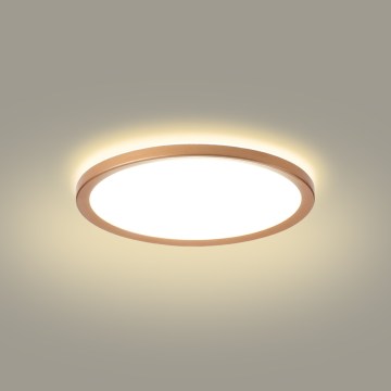 Brilagi - LED-kylpyhuoneen kattovalaisin ULTRA SLIM LED/18W/230V Ø 30 cm ruusukulta IP54