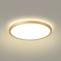 Brilagi - LED-kylpyhuoneen kattovalaisin ULTRA SLIM LED/24W/230V halkaisija 42 cm kultainen IP54